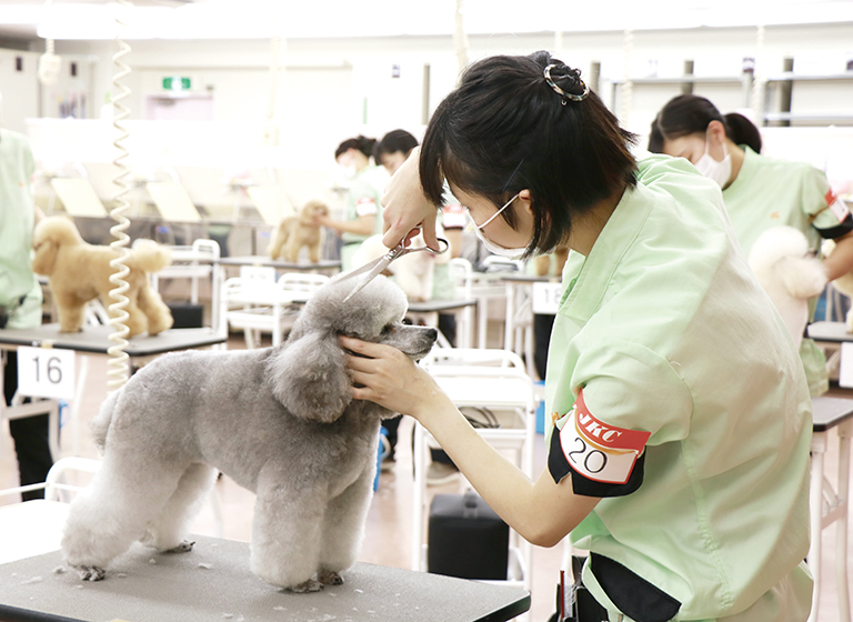 資格 就職 動物の専門学校 Yic京都ペット総合専門学校